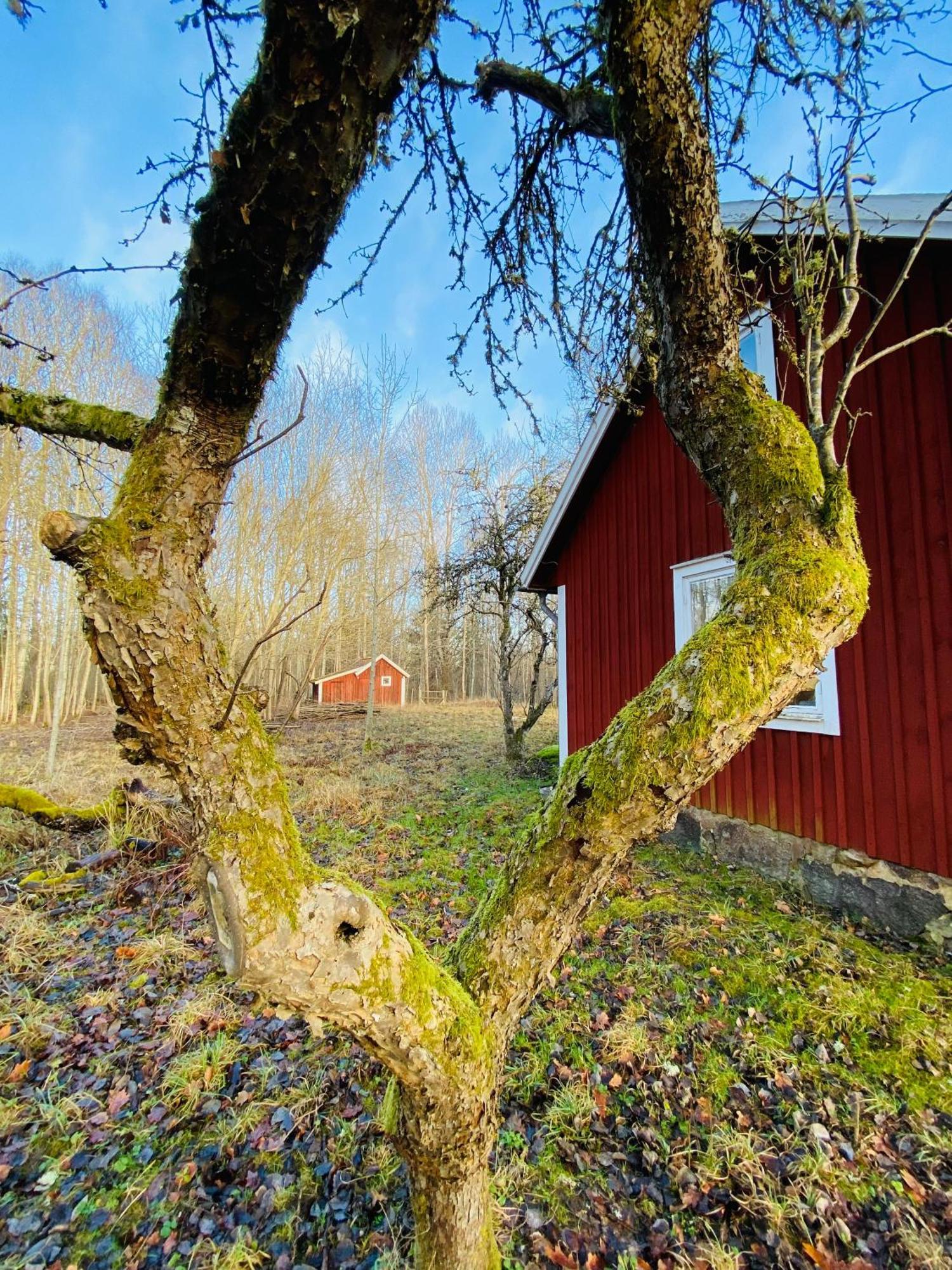 Villa Apple Garden